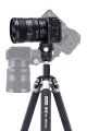 aed70fcaab18dc589985da2490384004