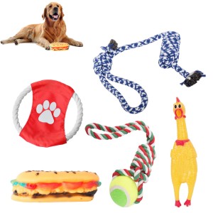 Zestaw zabawek dla psa